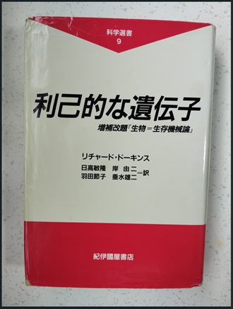 photo4